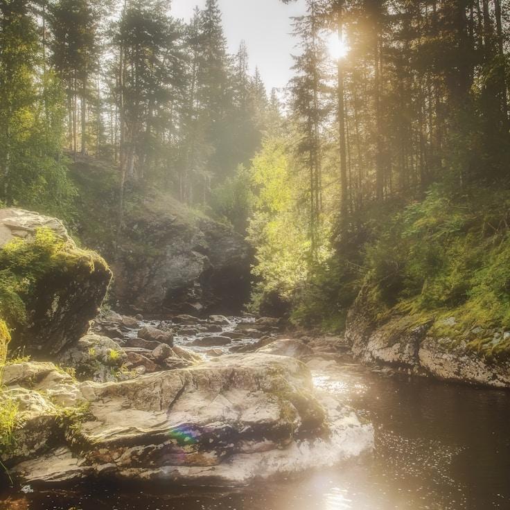 Protected areas overview